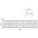 Gabion with 5 mm Wire and 10x10 cm Mesh 250x10x50 cm 3464903