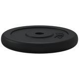 Weight Plate 40 kg Cast Iron 3145054