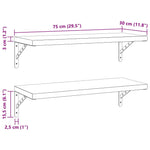Wall Shelves 2 pcs 75x30 cm Black Stainless Steel 3214515