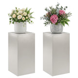 Plant Stand 2 pcs Silver 30 x 30 x 60 cm Steel 8012483