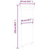 ZNTS Balcony Side Awning 65x250 cm Grey 48404