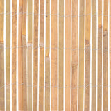 Bamboo Fence 1000x30 cm 142677