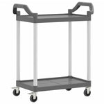 ZNTS 2-Tier Trolley Grey 81x41x92 cm Aluminium 30327