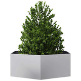 Garden Planter Hexagon 138x120x45 cm Galvanized Steel 851141