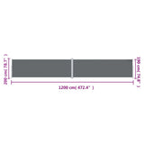 Retractable Side Awning Anthracite 200x1200 cm 318080