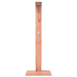 Outdoor Shower 214.5 cm Solid Douglas Wood and Stainless Steel 886346