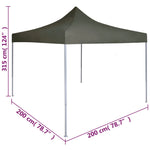 Professional Folding Party Tent 2x2 m Steel Anthracite 48883