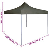 Professional Folding Party Tent 2x2 m Steel Anthracite 48883