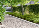 Lawn Edging 10 pcs 100 x 12 cm Steel White 8008522