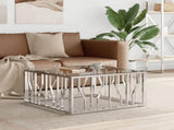 Coffee Table 80x80x40 cm Stainless Steel and Glass 350057