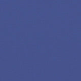 Retractable Side Awning Blue 220x1200 cm 4004866