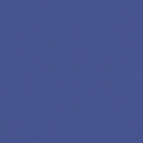 Retractable Side Awning Blue 200x1200 cm 4004851