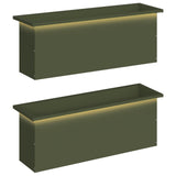 Garden Planter with LED 2 pcs Olive Green 30 x 100 x 30 cm 8008119