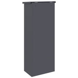 Parcel Drop Box with Door Anthracite 44.5 x 29 x 110.5 cm Steel 874928