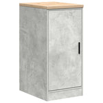 ZNTS Garage Cabinets 2 pcs Concrete Grey Engineered Wood 3328299