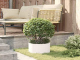 Planter Ring 5 pcs White 30 x 30 x 20 cm Cold-rolled Steel 873595