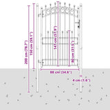 Fence Gate with Spikes EMMEN 200 x 100 cm Powder-coated steel 42009006