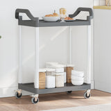 ZNTS 2-Tier Trolley Grey 81x41x92 cm Aluminium 30327