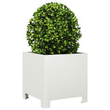 Garden Planters 2 pcs White 30x30x30 cm Steel 851188