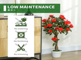 Set of 2 Artificial Plants White Rose Floral in Pot, Fake Plants for Home Indoor Decor, 90cm, Red T3398P344640