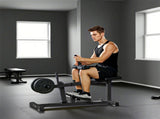Seated Leg Extension Machine, Adjustable Leg Raise Machine and Curl Machine with Plate Loaded for T3398P548117