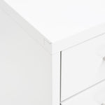 ZNTS Mobile File Cabinet White 28x41x109 cm Metal 335920