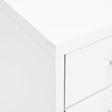 ZNTS Mobile File Cabinet White 28x41x109 cm Metal 335920