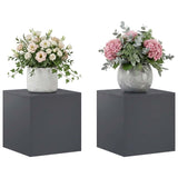 Plant Stand 2 pcs Anthracite 40 x 40 x 40 cm Galvanised Steel 8012521