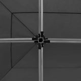 Professional Folding Party Tent with Walls Aluminium 6x3 m Anthracite 45508