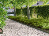 Lawn Edging 20 pcs 103 x 10 cm Steel Olive Green 8008335