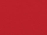 Retractable Side Awning Red 120x600 cm 4004597