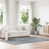Shaggy Rug High Pile NAVARRA Light Grey 200x290 cm Polyester 4102850