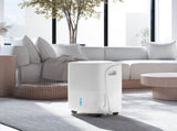 30L/Day Dehumidifier with Auto-Clean Filter, Continuous Drainage, 4L Water Tank, 24H Timer, Digital T3398P342456