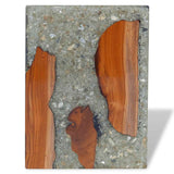 Stool Solid Teak Wood and Resin 243468