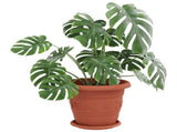 Plant Pots 24 pcs Brick Red 26 x 21.5 cm Plastic 3403281