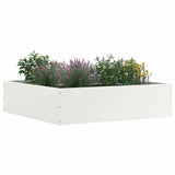 Lawn Edging 6 pcs White 50 x 50 x 13 cm Steel 874719