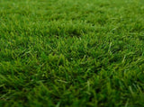 Artificial Grass PP & PE 42033141