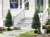 Artificial Plant 67533110