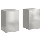 Plant Stand 2 pcs Silver 24 x 24 x 35 cm Stainless steel 865810