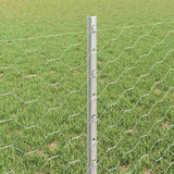 Welded Wire Fence 25 x 0.6 m Hot-Dip Galvanised Steel 3336993
