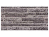 Wall Panels 10 pcs Anthracite 100 x 50 cm EPS Foam 42046105