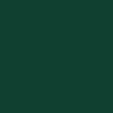 Wheelie Bin Storage for Single Bin Green 72x81x115 cm Steel 4006171