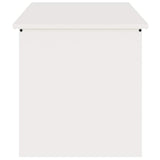 Outdoor Storage Box White 100 x 50.5 x 50 cm Steel 874561