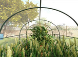 Polytunnel Greenhouse Walk-in Grow House with Plasric Cover, Door, Mesh Window and Steel Frame, 3 x T3398P318593