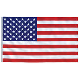 US Flag and Pole 6.23 m Aluminium 3147111
