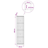 Gabion with 3.5 mm Wire and 10x10 cm Mesh 50x30x200 cm 3463243