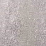 Shoe Cabinet with Mirror 2-Layer Concrete Grey 63x17x67 cm 342630