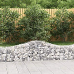Arched Gabion Baskets 2 pcs 200x50x40/60 cm Galvanised Iron 3145577