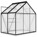 ZNTS Greenhouse Anthracite Aluminium 2.47 m² 312065