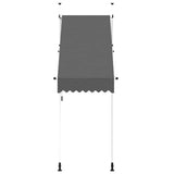 Manual Retractable Awning 100 cm Anthracite 145832